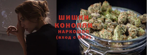 ECSTASY Липки