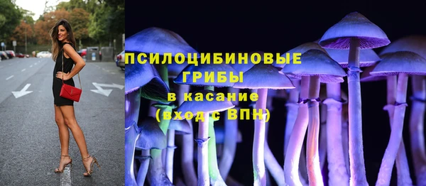 гидра Магадан